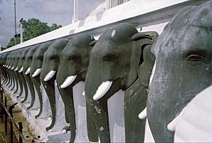 4445068-Ruvanvelisaya Dagoba-Anuradhapura