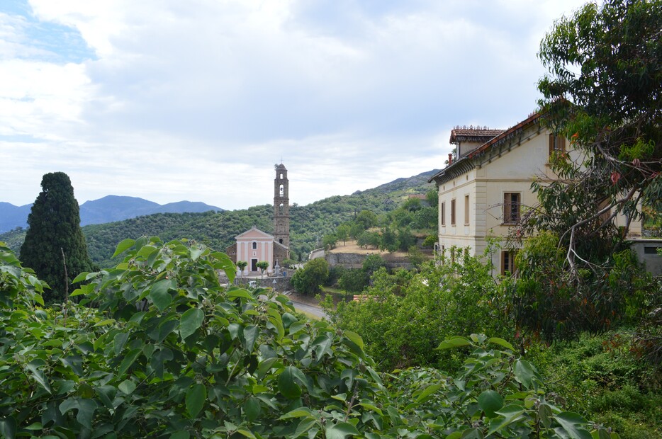 Dans la montagne du Nebbio : Sorio et San-Michele di Murato