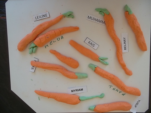 Nos carottes en pâte à sel