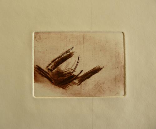 "Les épaves" 2010