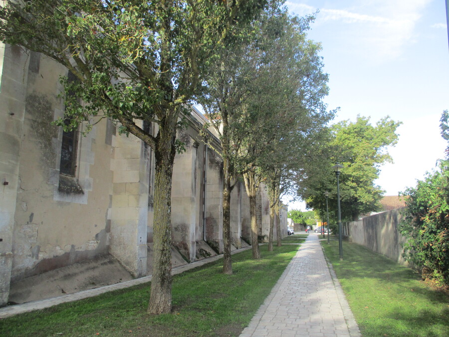 LA  TREMBLADE  (CHARENTES MARITIMES)   SEPTEMBRE-OCTOBRE  2022