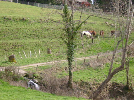 RANDONNEE A ROCHECHOUART . 87600 . HAUTE VIENNE . Deuxième partie .