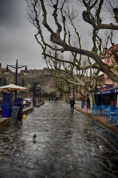 2016.03.31 Collioure, Port Vendres (Pyrénées-Orientales) 1