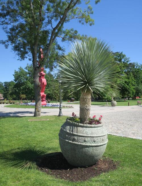 Balade dans le parc du château Stelsia à St Sylvestre sur Lot 