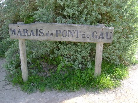 LE PARC ORNITHOLOGIQUE DE PONT DE GAU . SAINTES-MARIE-DE-LA -MER .  Première partie .