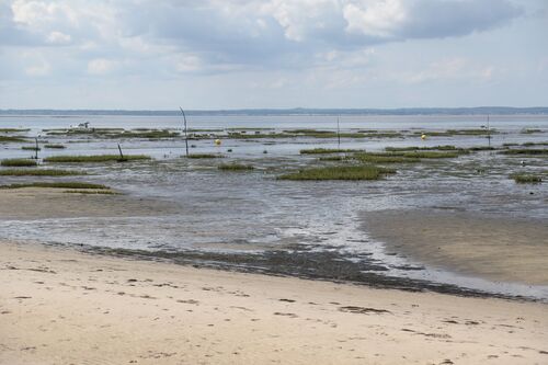 Lanton  et sa plage 33