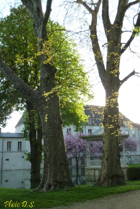 Que d'eau, que d'eau à Châtillon sur Seine en mai 2013...