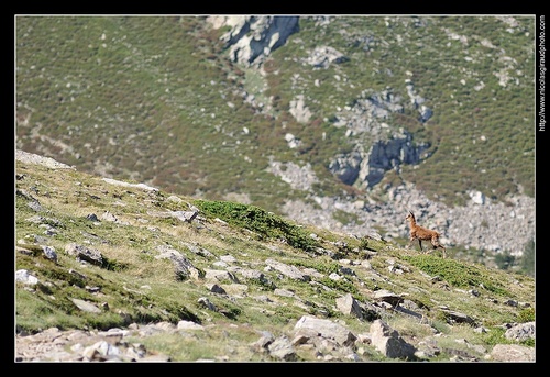 Le Canigou, l'Olympe des Catalans!