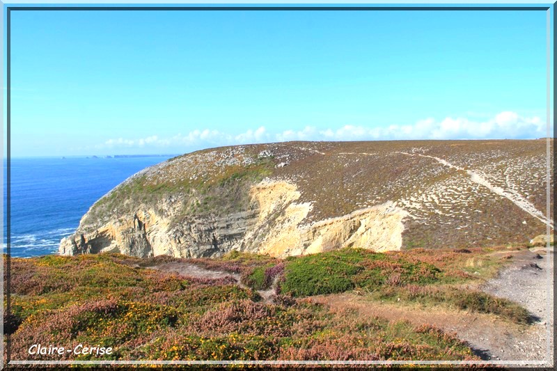 872 - L'Aber et Le Cap de la Chèvre en Presqu'île de Crozon (29)