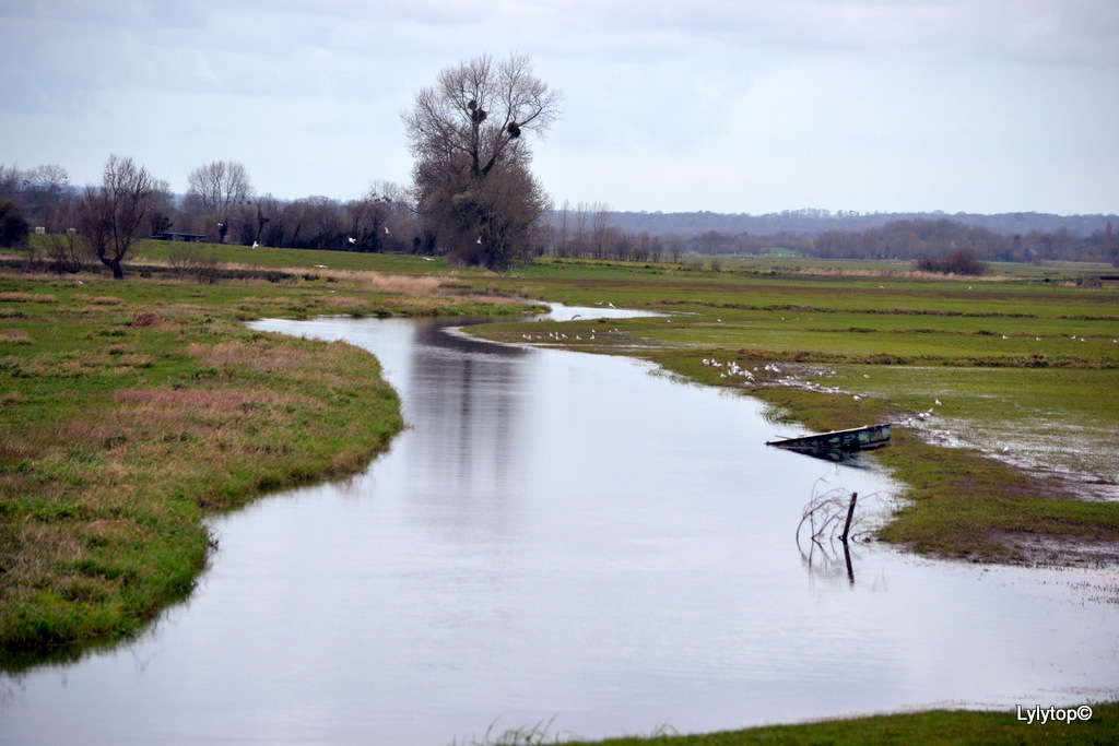 Le marais de la Fière avant et après