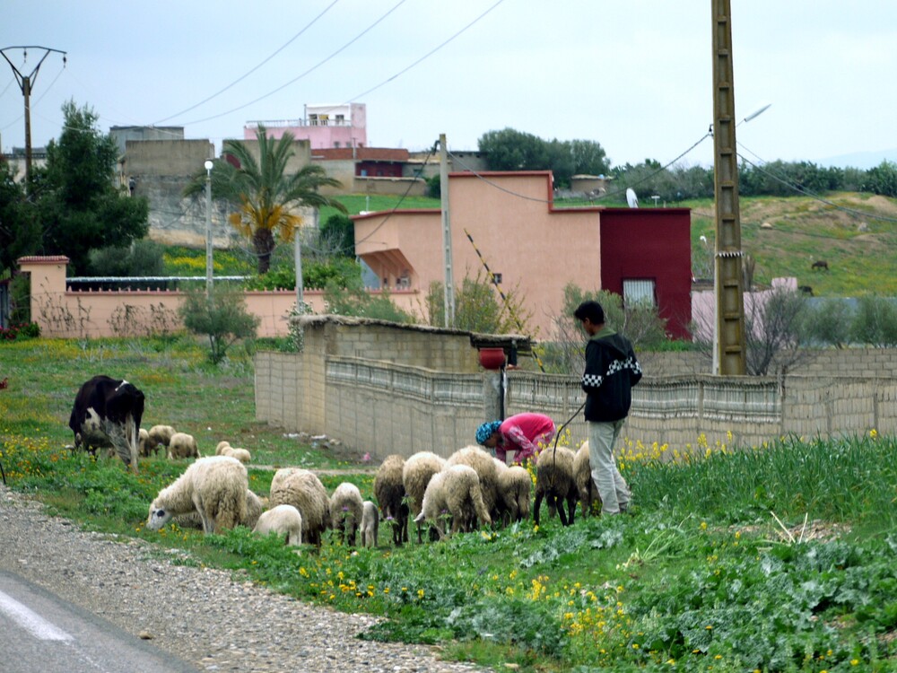 Scènes de vie dans le Rif