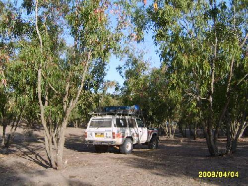 Maroc Bivouac dans les eycalyptus à côté d'Azemmour