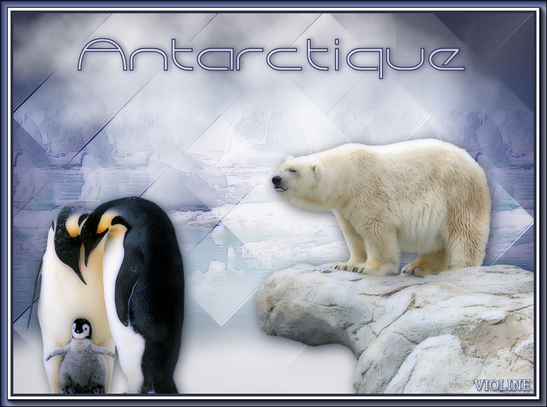 Antarctique