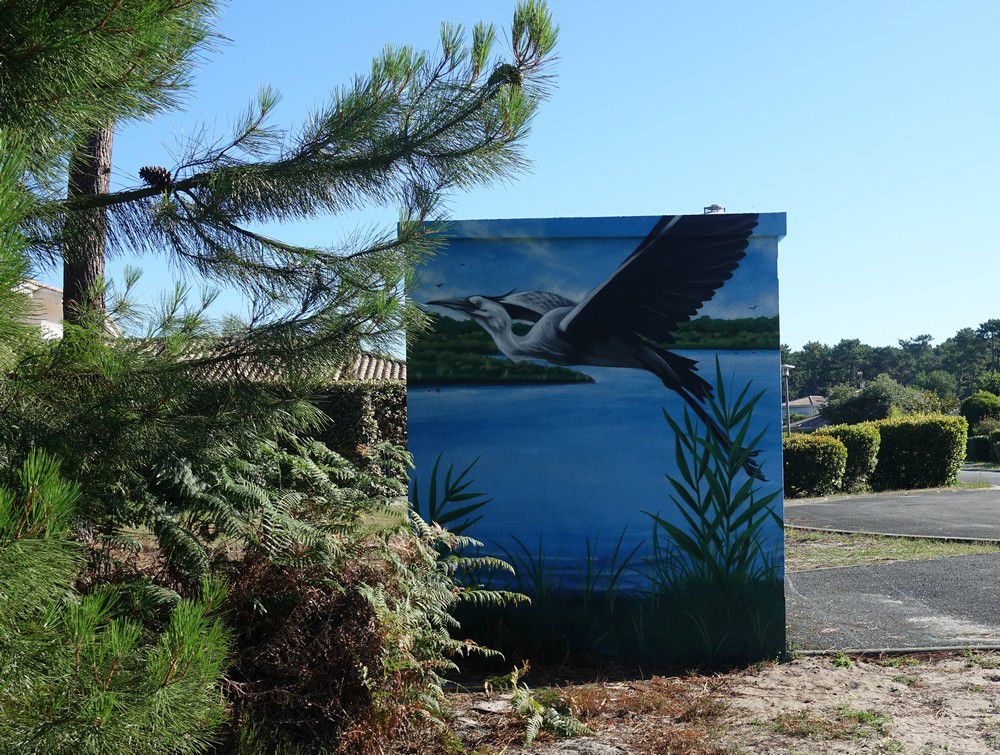 Street-art dans la ville : la réserve des Prés Salés, aigrette et héron...