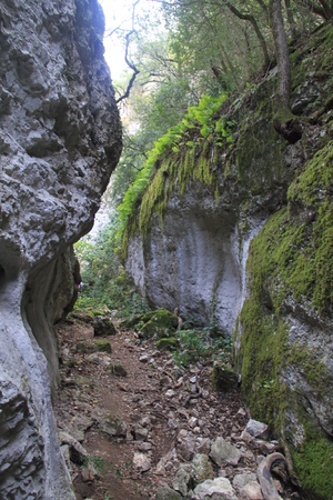 Gorges de Régalon 