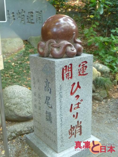 Allez savoir pourquoi une pieuvre se trouvait là ...