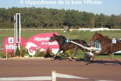 Hippodrome de la baie Yffiniac - Réunion de trot lundi 16 janvier 2012