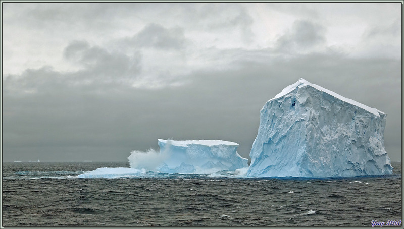 Les icebergs de Bellingshausen Sea en attendant ceux de demain de Amundsen Sea ...