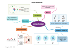 Des atomes aux ions