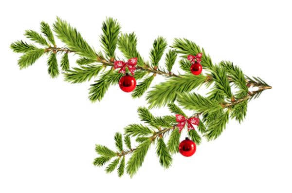 Branches décorées Noël 2019 / 2