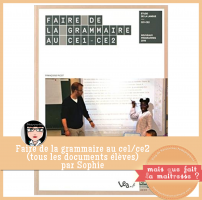 Grammaire Picot CE1 CE2