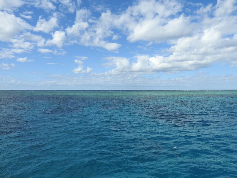 20 Juillet 2019 - Barrière de corail JOUR 1 avec PRO DIVE Cairns