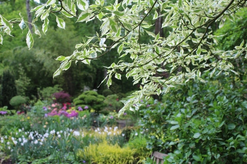 Jardin d'atmosphères du petit Bordeaux