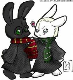 lapins potter-malfoy