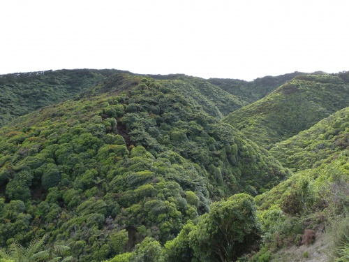 The top of the South Island