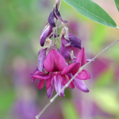 Retour sur le Troc Plantes 2018 au Jardin de Valérie...