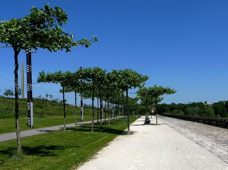 Metz / Le parc de la Seille...