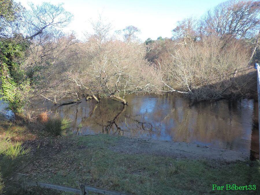 le courant d'Huchet - Landes