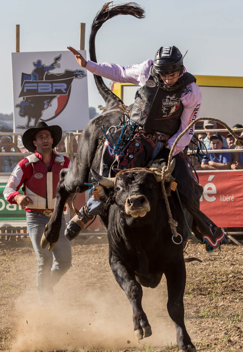 BULL RIDING - FAMILY BULL RIDER