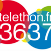 telethon20101.PNG