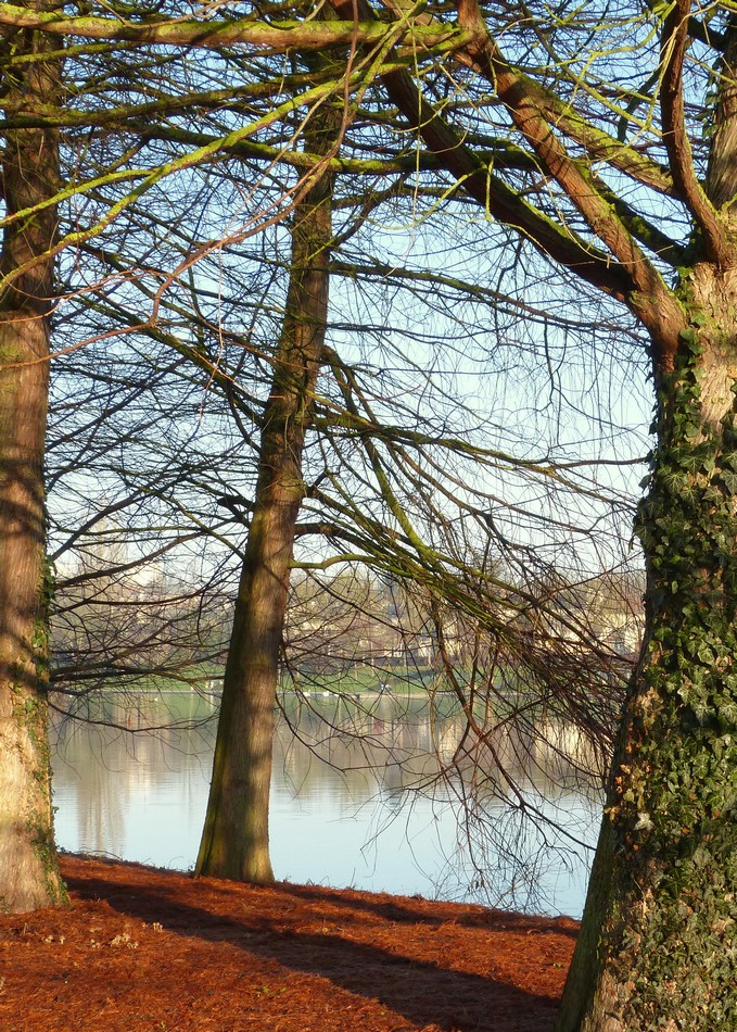 Toujours au parc, frigorifiée, mais c'est si beau ! 