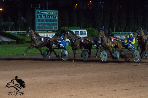 PRIX FRANCE BLEU PICARDIE