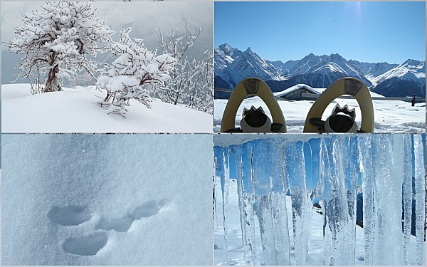 Zernez février 2010