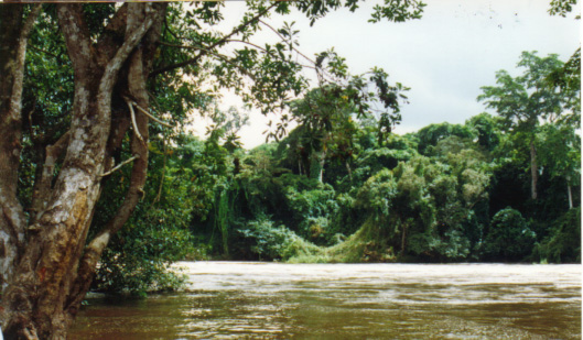 Mon Voyage en Afrique noire - 7