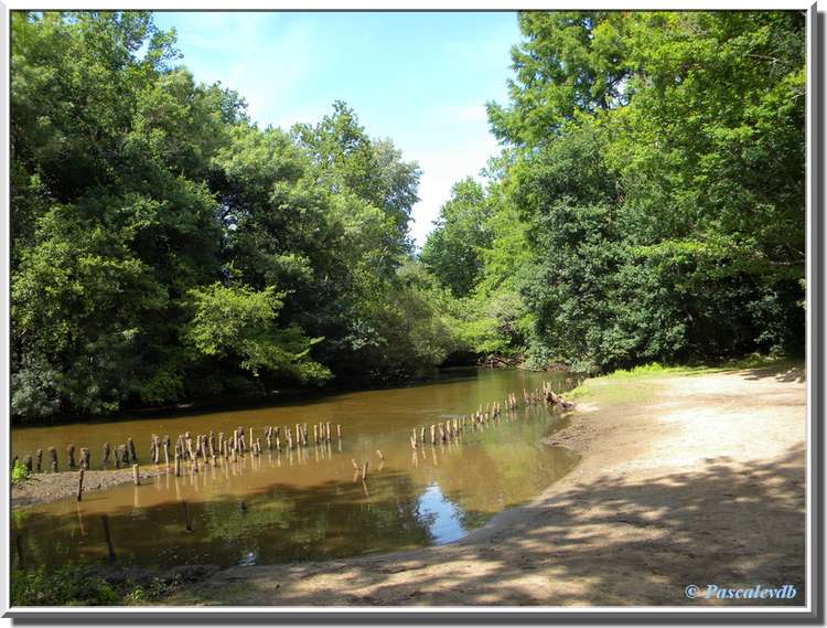 Belin-Béliet - Tour de la Grand Forge