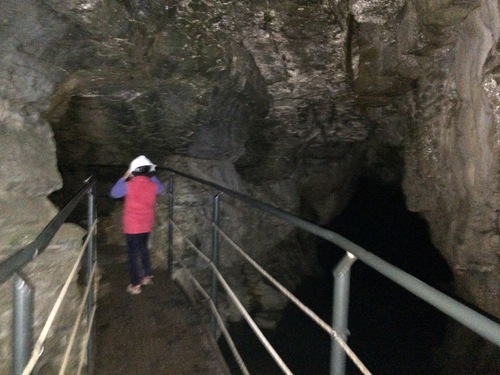 Waittamo caves 