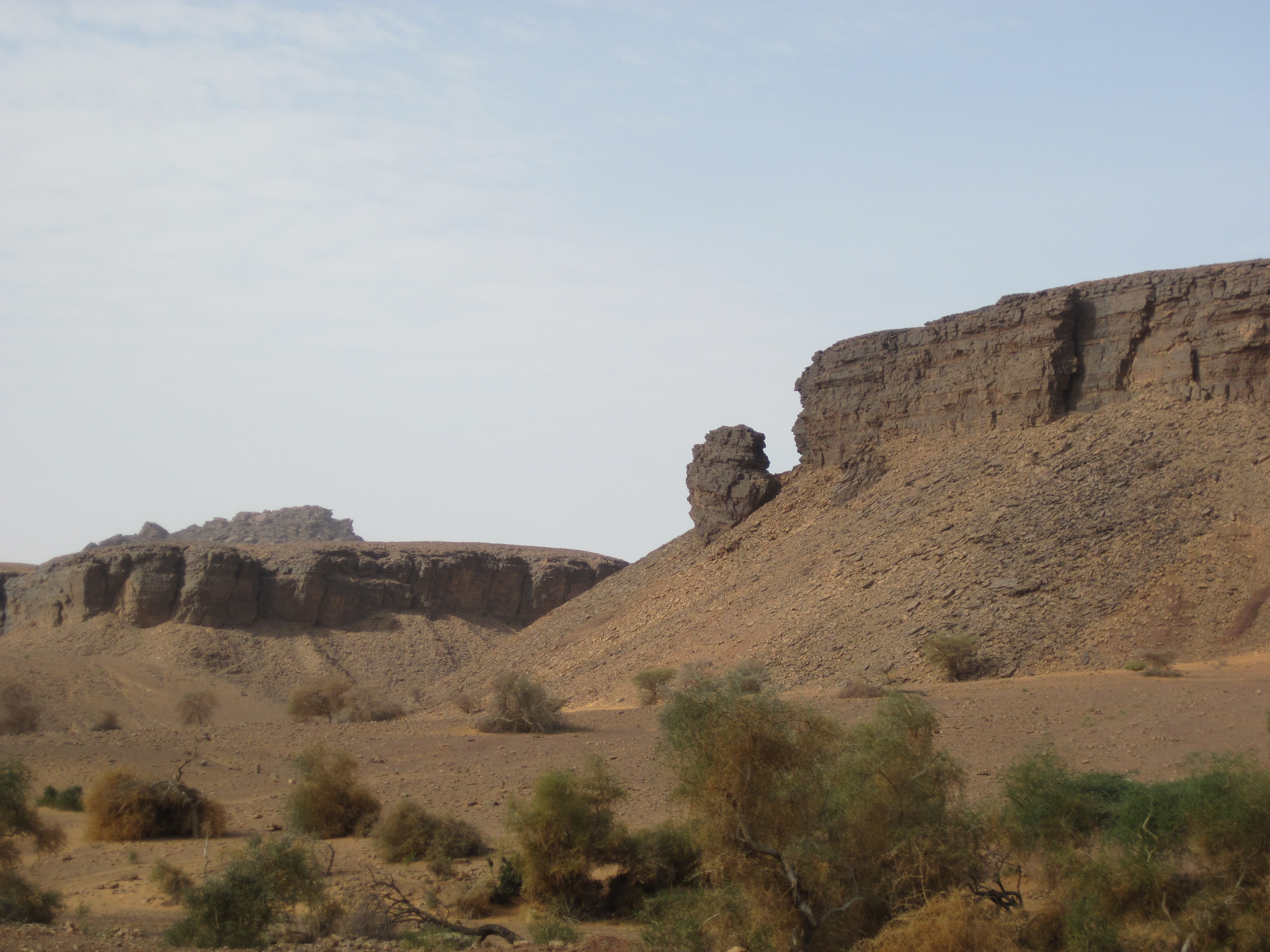 Mauritanie Terjit