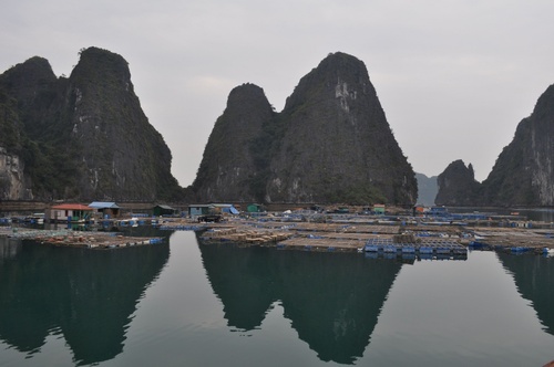 Halong