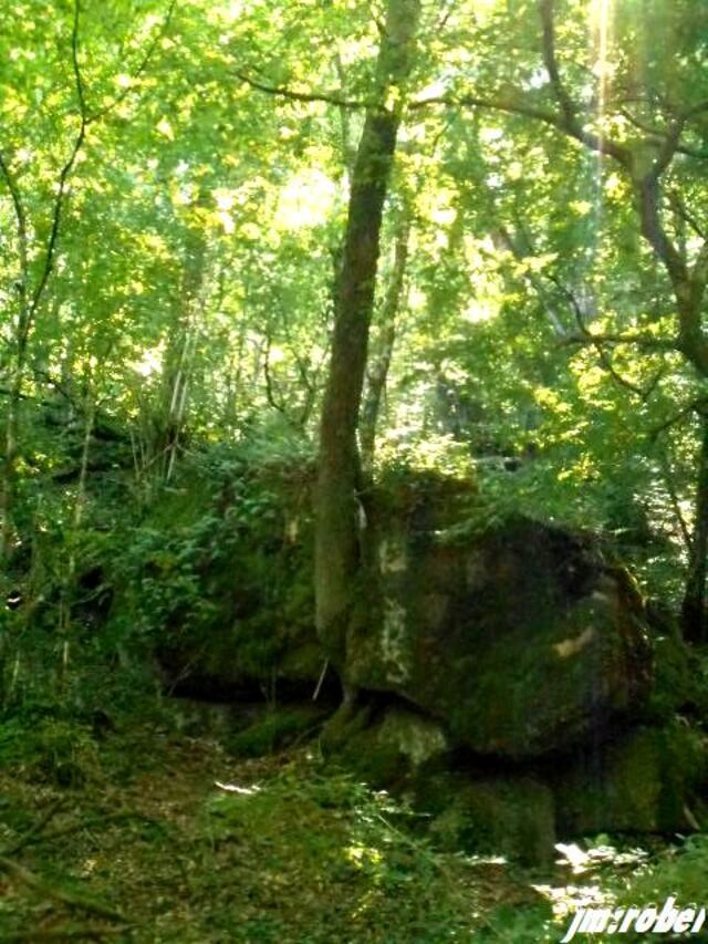 Saint Junien : Randonnée au site Corot et la vallée de la glane  (1)