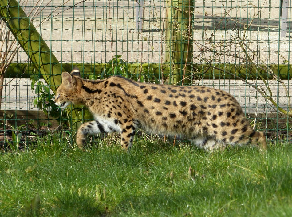 Notre parc Zoologique est ouvert