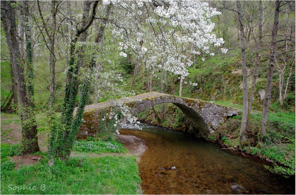 Le petit pont romain et son hôte .