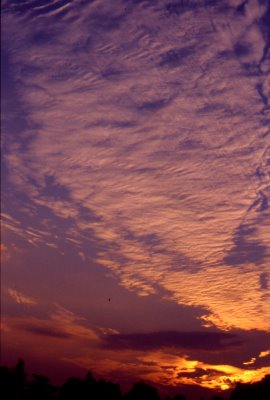 coucher-soleil-tres-nuageux.jpg