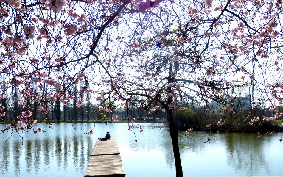 Anniclick sous le soleil de Mars