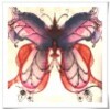 papillon-fantastique.jpg