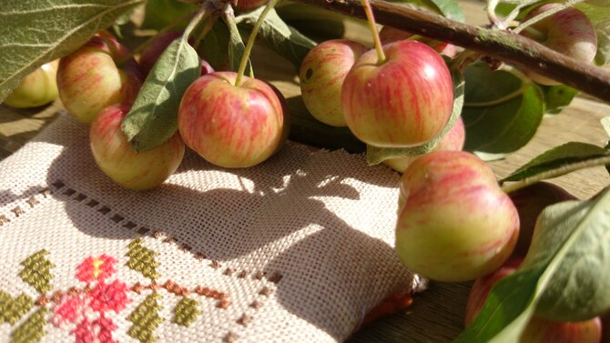 Petite broderie d'automne...