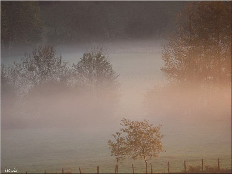 Brume d'automne